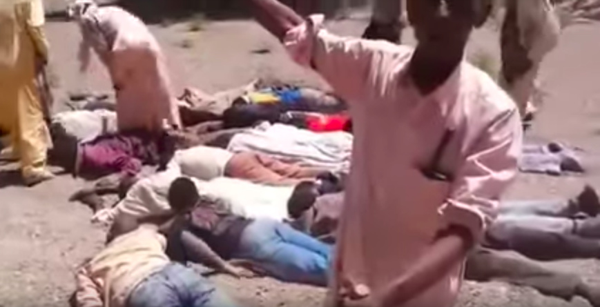 Capture d'écran vidéo. Capture d'écran vidéo.