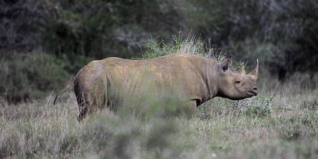 @ TONY KARUMBA / AFP