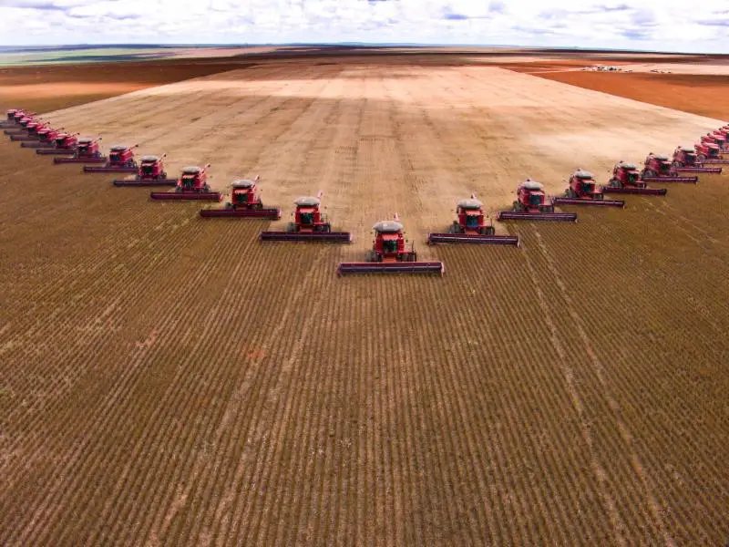 Mass soybean harvesting at a farm in Brazil.
