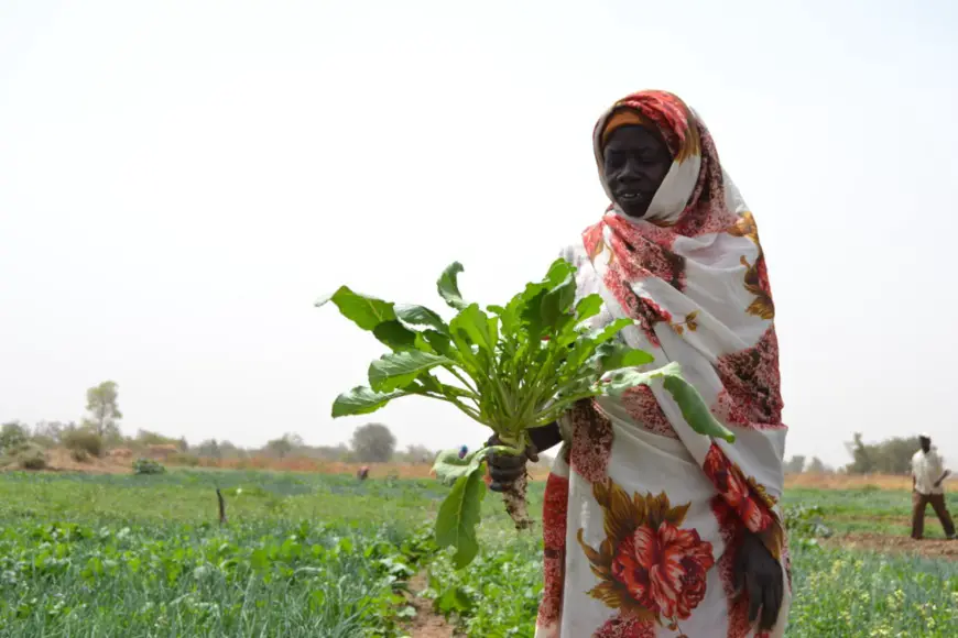 Achta Abdallah Biney tient à la main un navet qu’elle vient de récolter sur sa parcelle de terrain au Tchad. © HCR/Ibrahima Diane.