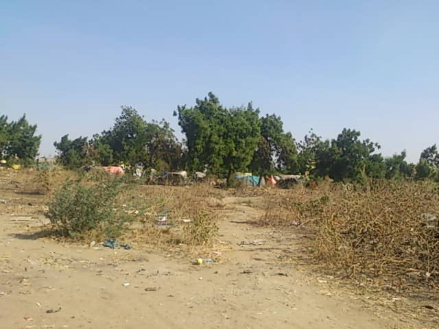 N'Djamena : un trentenaire assassiné derrière le Palais du 15 janvier. © Alwihda Info N'Djamena : un trentenaire assassiné derrière le Palais du 15 janvier. © Alwihda Info