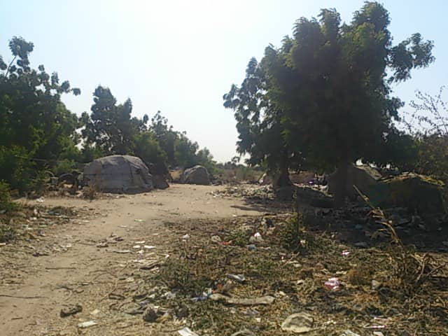 Un espace urbain semi-forestier derrière le Palais du 15 janvier. © Alwihda Info Un espace urbain semi-forestier derrière le Palais du 15 janvier. © Alwihda Info