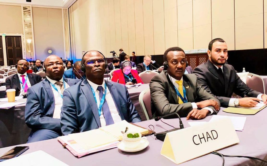 L'ex-ministre du Pétrole, Boukar Michel (gauche) et l'Ambassadeur du Tchad à Abou Dhabi, Zakaria Idriss Déby. © DR