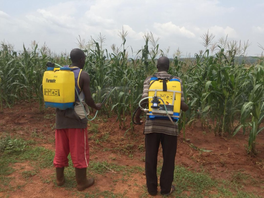 Tchad : tirons le meilleur du salon de l'agriculture SAFAGRI Tchad : tirons le meilleur du salon de l'agriculture SAFAGRI