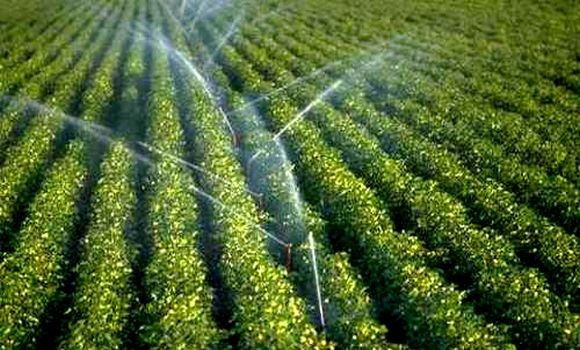 Le Tchad s'engage à créer des solutions d'irrigation performantes Le Tchad s'engage à créer des solutions d'irrigation performantes
