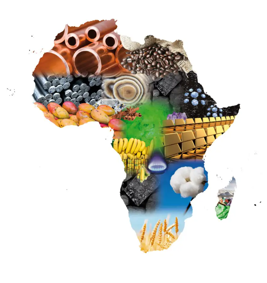 Présentation du rapport « Perspectives économiques en Afrique 2019 » au 32ème Sommet de l’UA