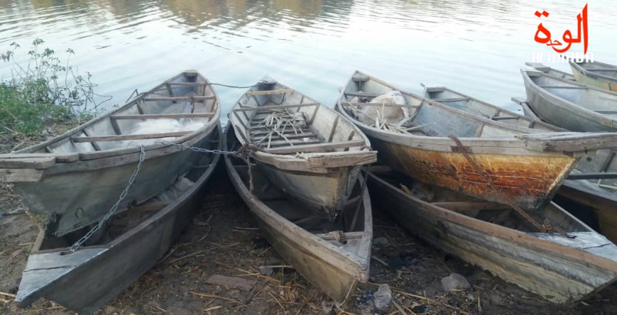 Des pirogues immobilisées par les agents de la brigade mobile des eaux et forêts au Lac Tchad. © Alwihda Info