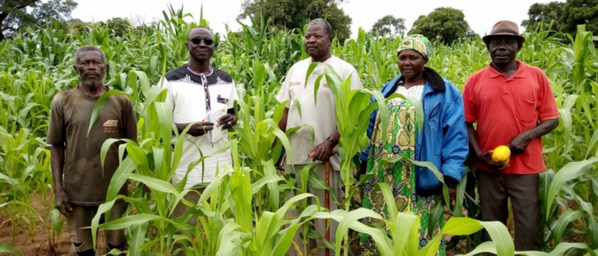 © RAPS - Développement. © RAPS - Développement.