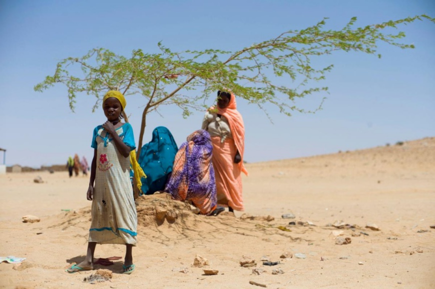 Des femmes réfugiées soudanaises se reposent à l’ombre d’un arbre au camp de réfugiés d’Iridimi, dans l’est du Tchad. Photo d’archives 2014.   © HCR / Corentin Fohlen