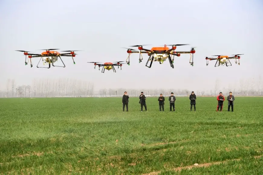 Farmers use drones to spray chemical herbicides in a wheat field in Yanggang village, Shihe town, Qiaocheng district of Bozhou city, eastern China’s Anhui province, March 4,2019. (Photo by Liu Qinli from People’s Daily Online)