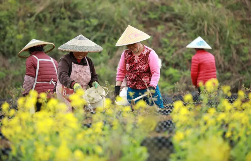 Professional farmers are busy with the farm work in the season for spring ploughing in Danzhai county, China’s southeast Guizhou province. (Photo: People’s Daily Online)