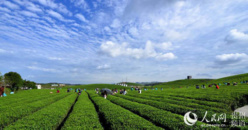 China will help farmers to build up modern agriculture