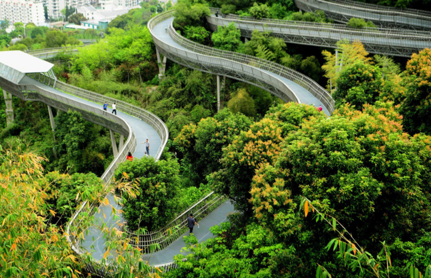 Photo taken on April 14, 2018 shows a forest walkway in Zuohai Park in Fuzhou, southeast China's Fujian province. The steel-structured hollow bridge, with a length of 19 kilometers, allows the residents to walk through the forest without damaging the environment. (Photo: Xinhua)