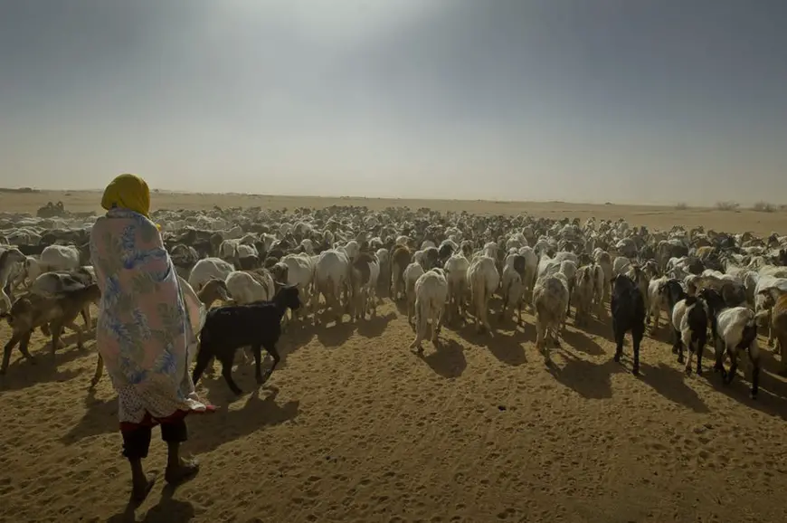 Des réfugiés du Darfour dans l’est du Tchad (2011). Commission européenne/Flickr, CC BY-SA