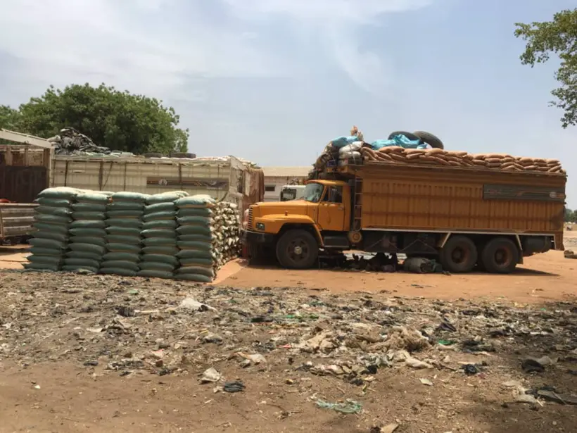 Tchad : la fraude asphyxie la production de la compagnie sucrière