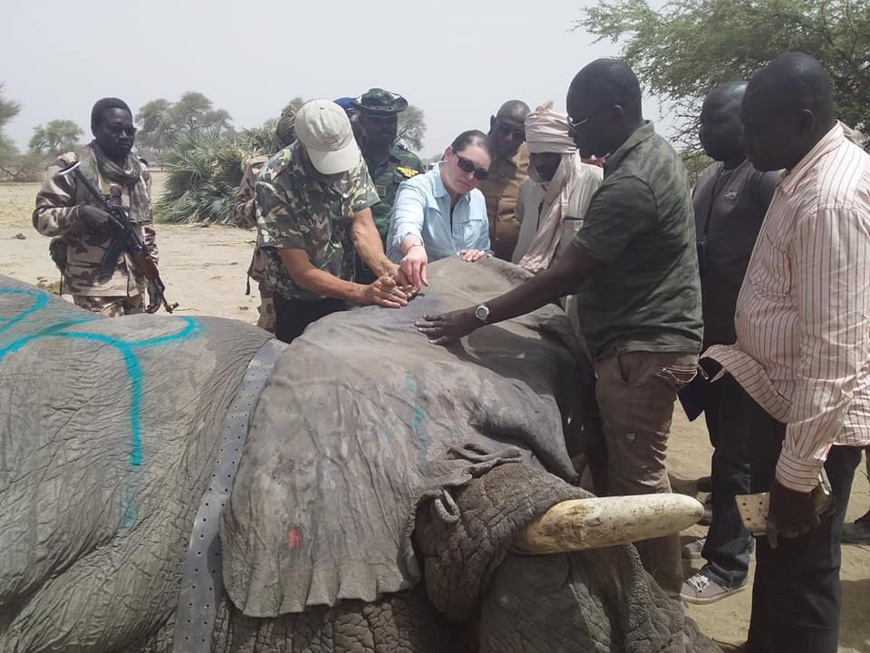 © DR/MEEP © DR/MEEP