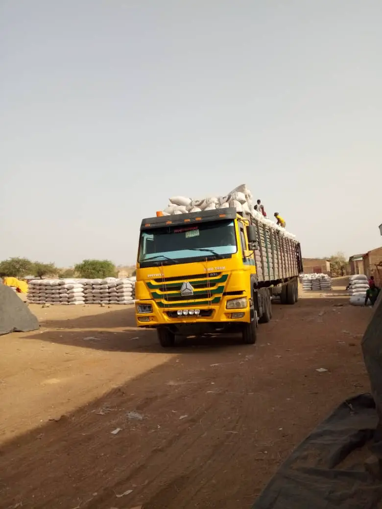 Un camion de transport de marchandises au sud du Tchad. © Alwihda Info