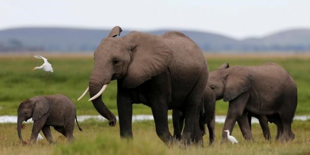 © Thomas Mukoya / Reuters