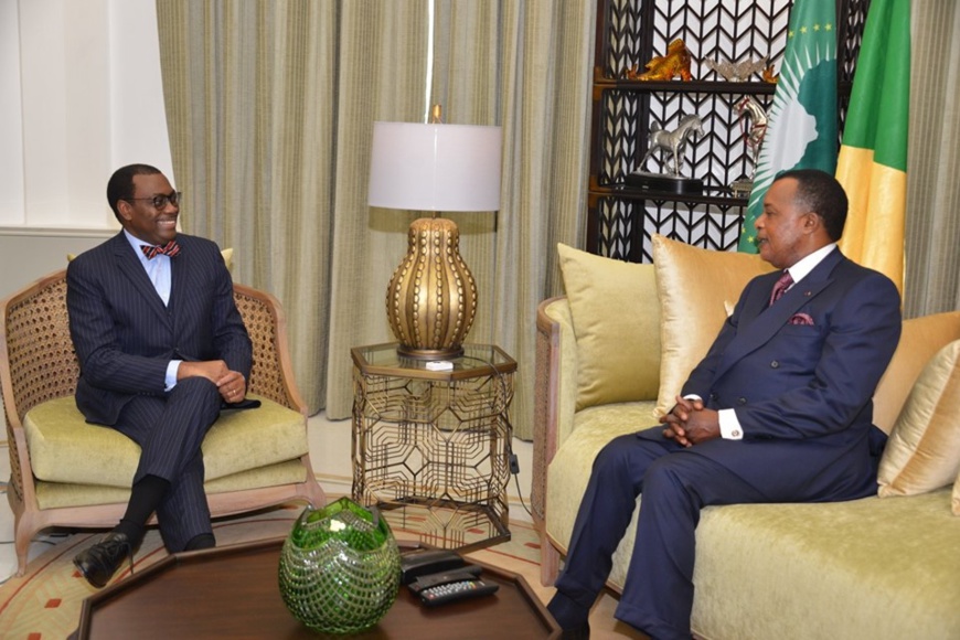 Denis Sassou N'Guesso et Akinwumi Adesina, au cours de leurs échanges