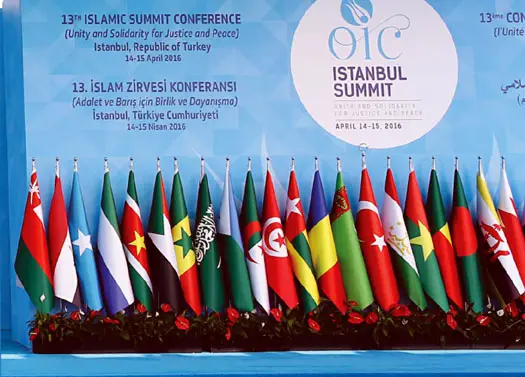 Le sommet de l'OCI en Turquie en 2016. © DR