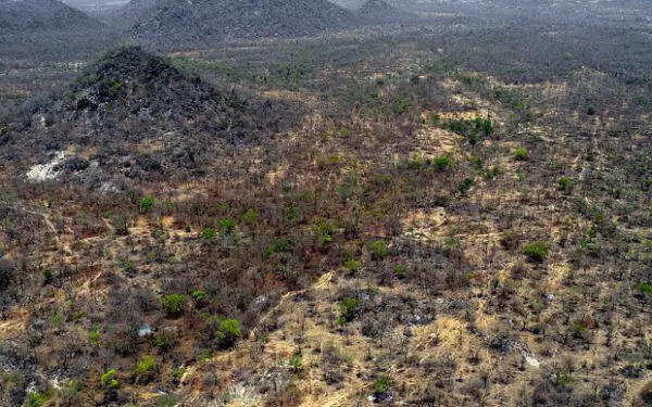 La forêt de Sambisa au Nigeria. © DR