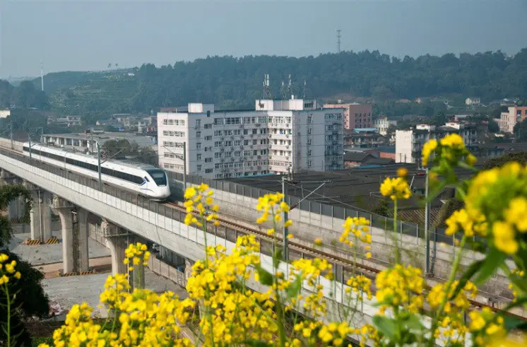 On March 10, 2019, on the outskirts of Pujiang County, Sichuan, the China Railway High-speed (CRH) drove past the village full of flowers. Chengya Railway, a section of the Sichuan-Tibet Railway, has been running through the whole line. (Photo by Zhu Chunjian from People’s Daily Online)
