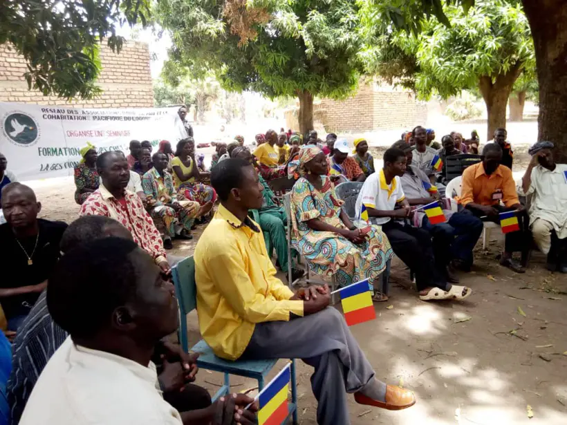 Tchad : une "bouffée d’oxygène" pour les paysans après l'accord sur le coton. © DR