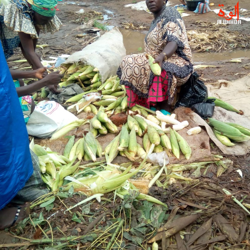 Tchad : au Logone Occidental, les ménages allégés par la baisse des prix