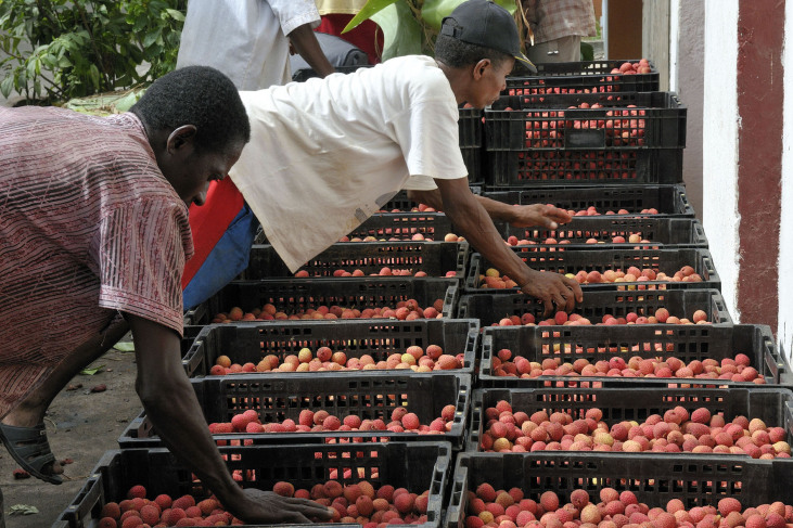 Des commerçants à Madagascar. © AVSF