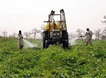 Le Tchad organise un grand forum sur le développement du monde rural Le Tchad organise un grand forum sur le développement du monde rural