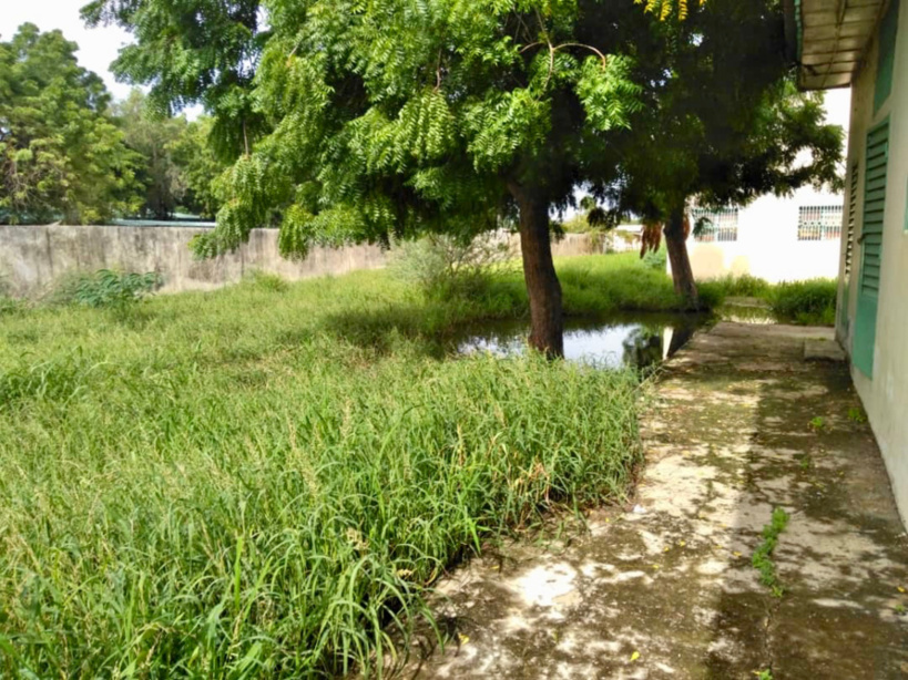 Tchad : des conditions d'hygiène qui inquiètent à l'Université de N'Djamena. © Alwihda Info Tchad : des conditions d'hygiène qui inquiètent à l'Université de N'Djamena. © Alwihda Info