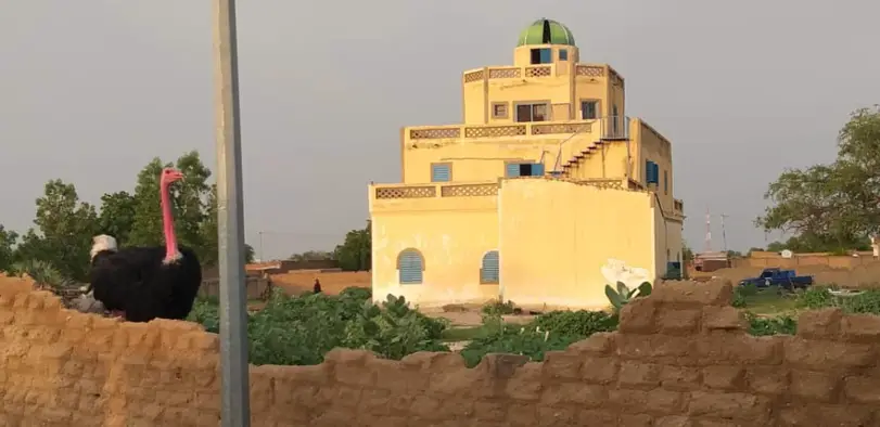 Tchad : des tirs entendus au Palais du Sultanat du Ouaddaï