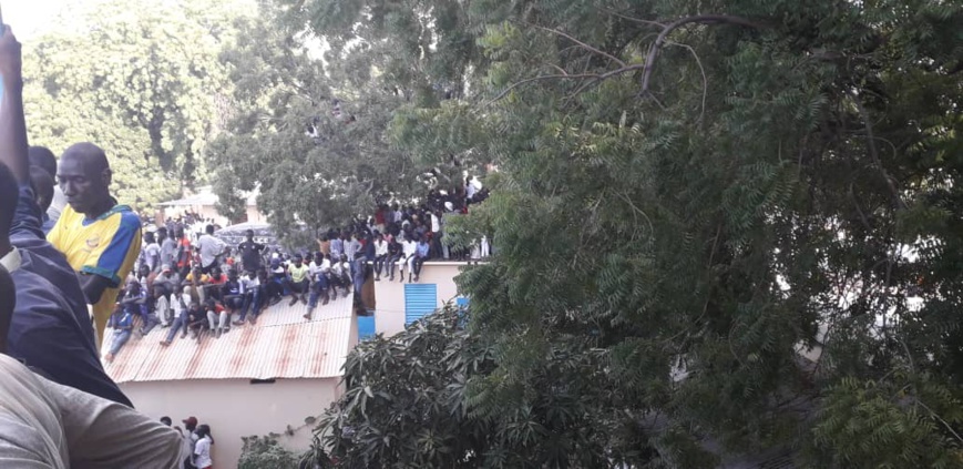Tchad : stade bondé à N'Djamena, les supporters grimpent aux arbres ou sur les toits