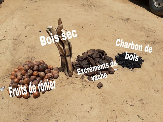 Tchad : comment réussir la semaine de l'arbre en 4 points Tchad : comment réussir la semaine de l'arbre en 4 points