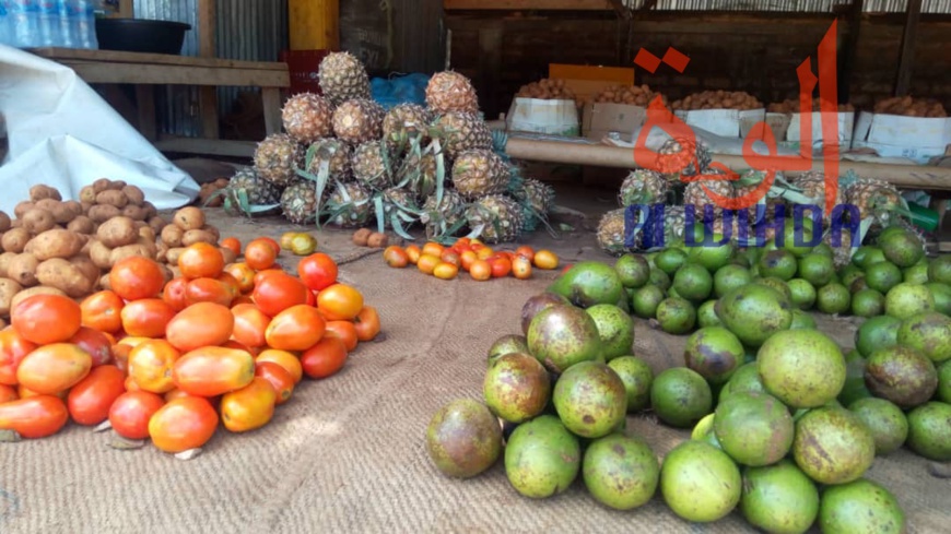 Tchad : au Sud, le désenclavement favorise l'activité économique avec le Cameroun