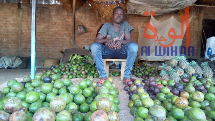 Tchad : au Sud, le désenclavement favorise l'activité économique avec le Cameroun