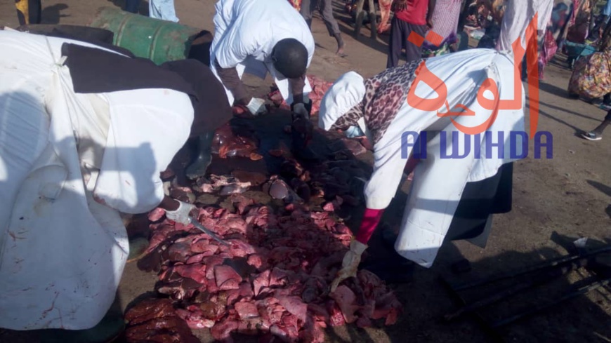 Tchad : des maladies animales parasitaires détectées par les services vétérinaires à l’Est. © Alwihda Info Tchad : des maladies animales parasitaires détectées par les services vétérinaires à l’Est. © Alwihda Info