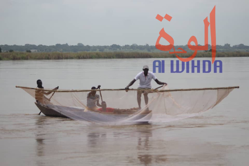 Tchad : une course de pirogues organisée à Moundou Tchad : une course de pirogues organisée à Moundou