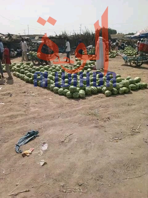 Tchad : la pastèque envahit la province du Ouaddaï, au détriment du mil. © Alwihda Info Tchad : la pastèque envahit la province du Ouaddaï, au détriment du mil. © Alwihda Info