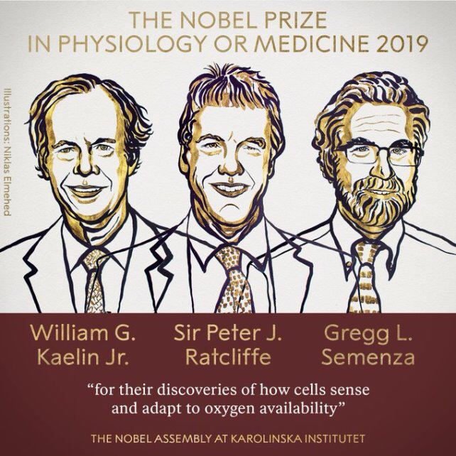 Nobel 2019 : les lauréats du prix de physiologie ou médecine