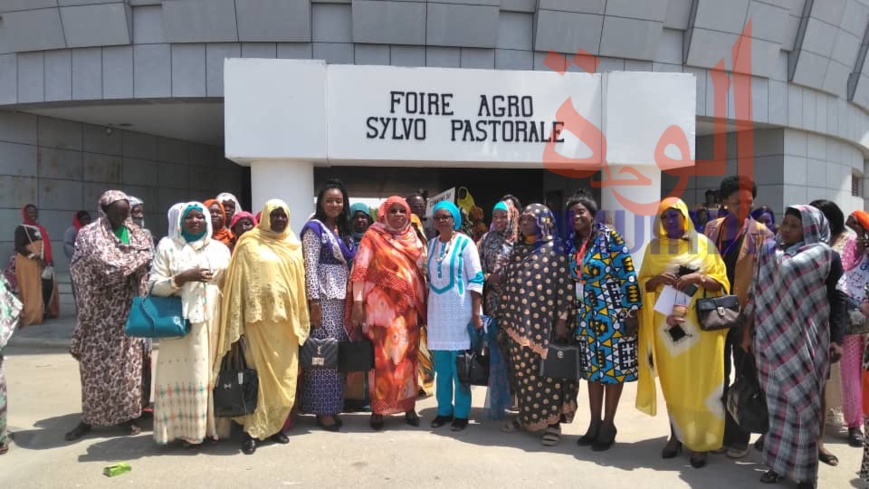 Tchad : le secteur informel féminin à l'honneur de la foire agro-pastorale. © Alwihda Info Tchad : le secteur informel féminin à l'honneur de la foire agro-pastorale. © Alwihda Info