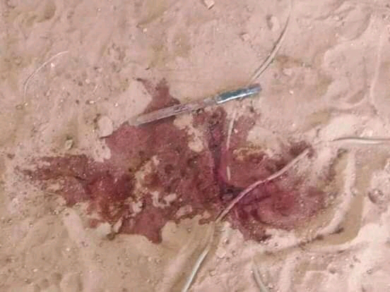 Tchad : le demi-frère de l’enfant retrouvé égorgé avoue le meurtre Tchad : le demi-frère de l’enfant retrouvé égorgé avoue le meurtre