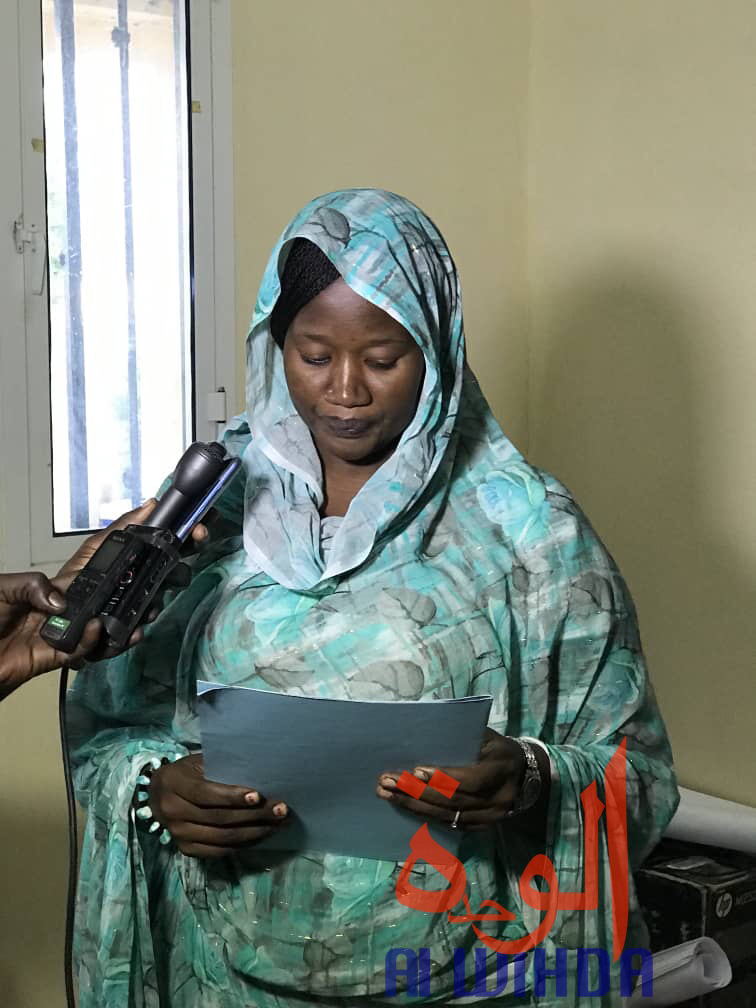 Tchad : la HAMA renforce et perfectionne la presse provinciale Tchad : la HAMA renforce et perfectionne la presse provinciale