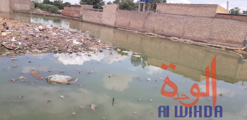 Tchad : "il ne faut plus que l'État parle de vitrine de l'Afrique" Tchad : "il ne faut plus que l'État parle de vitrine de l'Afrique"