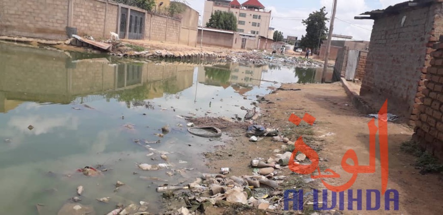 Tchad : "il ne faut plus que l'État parle de vitrine de l'Afrique" Tchad : "il ne faut plus que l'État parle de vitrine de l'Afrique"