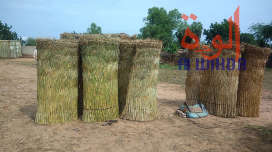 Tchad : au Sila, le commerce permet aux jeunes de se prendre en charge. © Alwihda Info Tchad : au Sila, le commerce permet aux jeunes de se prendre en charge. © Alwihda Info