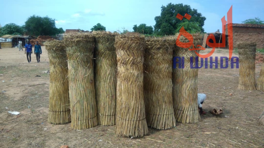 Tchad : au Sila, le commerce permet aux jeunes de se prendre en charge. © Alwihda Info Tchad : au Sila, le commerce permet aux jeunes de se prendre en charge. © Alwihda Info