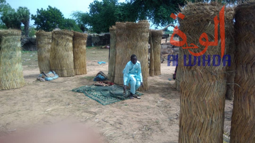 Tchad : au Sila, le commerce permet aux jeunes de se prendre en charge. © Alwihda Info