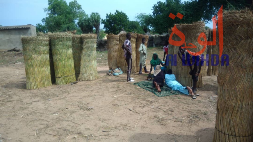 Tchad : au Sila, le commerce permet aux jeunes de se prendre en charge. © Alwihda Info Tchad : au Sila, le commerce permet aux jeunes de se prendre en charge. © Alwihda Info