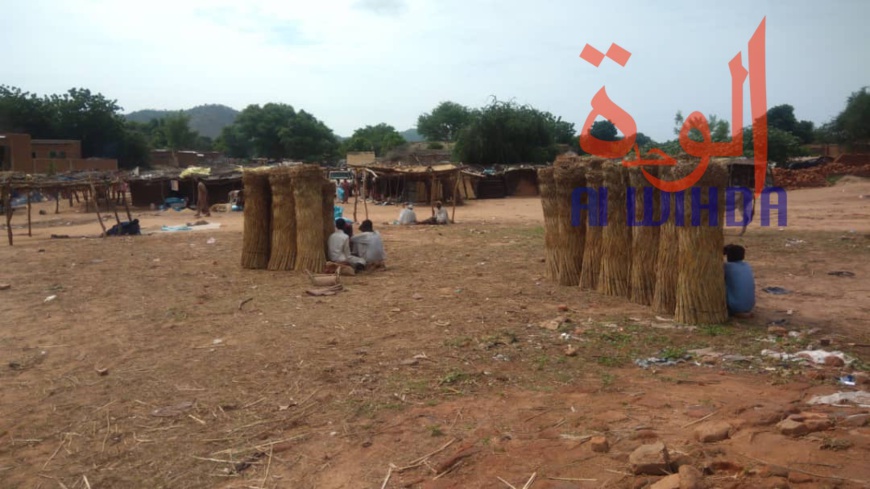 Tchad : au Sila, le commerce permet aux jeunes de se prendre en charge. © Alwihda Info